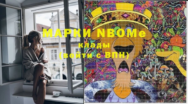 гашик Покров