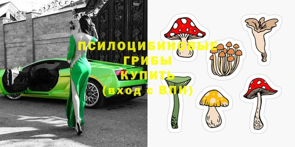 гашик Покров