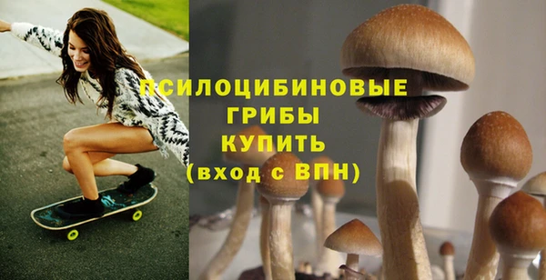 гашик Покров