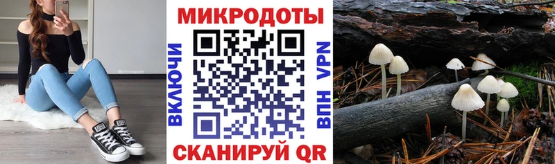 hydra ссылки Советская Гавань Псилоцибиновые грибы MAGIC MUSHROOMS купить сайты