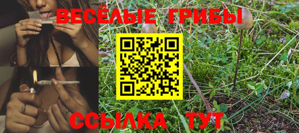 Галлюциногенные грибы мухоморы Советская Гавань
