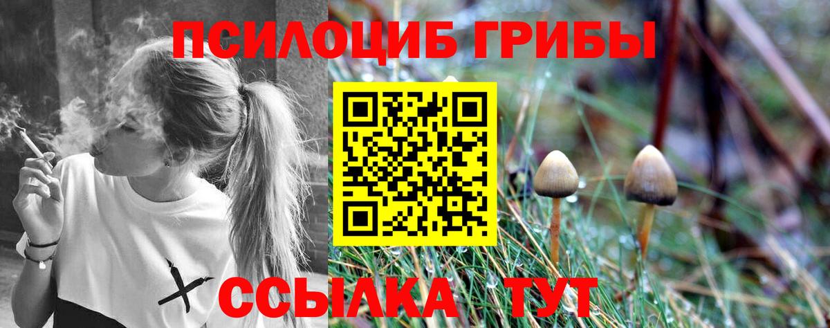 Галлюциногенные грибы GOLDEN TEACHER  Вход с VPN  Советская Гавань  Псилоцибиновые грибы Cubensis 