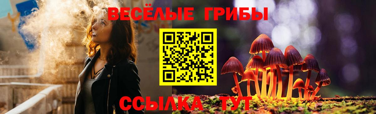 Галлюциногенные грибы Psilocybine cubensis  Галлюциногенные грибы прущие грибы  Советская Гавань 